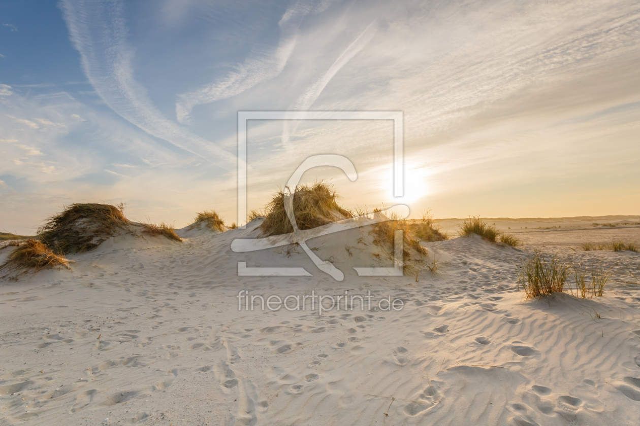 Bild-Nr.: 12018278 Stranddünen im Abendlicht erstellt von Ursula Reins