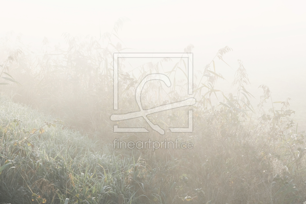 Bild-Nr.: 12018295 Morgendunst mit Nebel erstellt von Ostfriese
