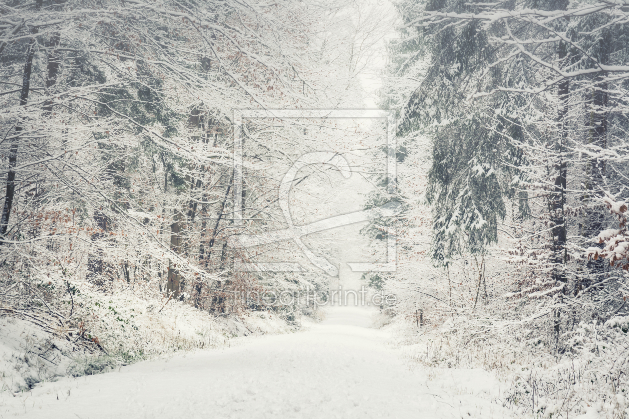 Bild-Nr.: 12018395 Schnee im Wald erstellt von luxpediation