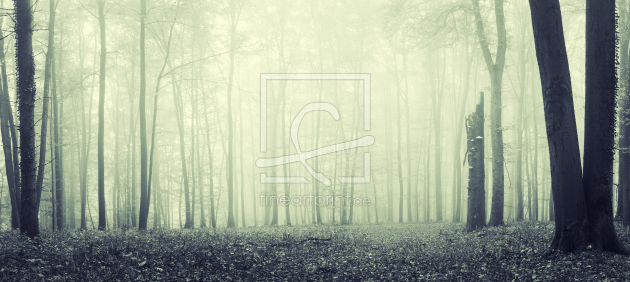 Bild-Nr.: 12019785 Mystischer Wald - moody woodland erstellt von luxpediation