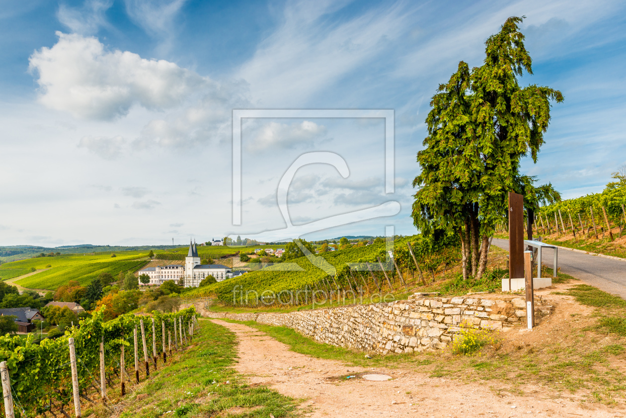 Bild-Nr.: 12020618 Neues Kloster Johannisberg 93 erstellt von Erhard Hess