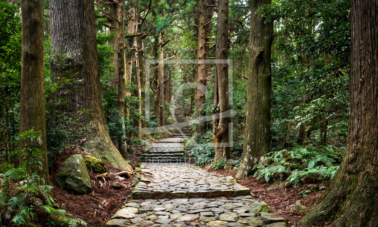 Bild-Nr.: 12023337 Kumano Kodo Daimon-zaka in Japan erstellt von eyetronic