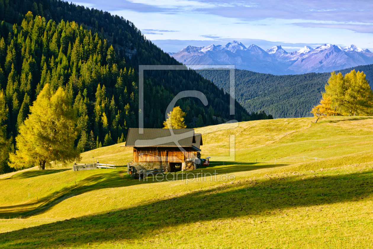 Bild-Nr.: 12024786 Auf der Seiser Alm erstellt von Gisela Scheffbuch