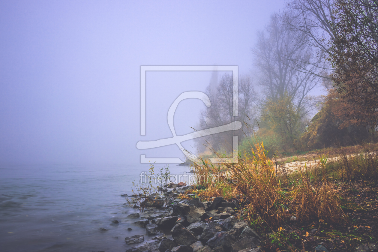 Bild-Nr.: 12026640 Nebel am Rheinufer erstellt von Marc Braner