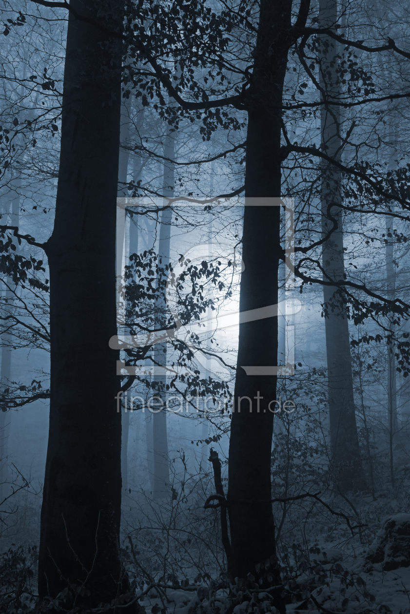 Bild-Nr.: 12027735 Novemberwald erstellt von Ralf Nemeth