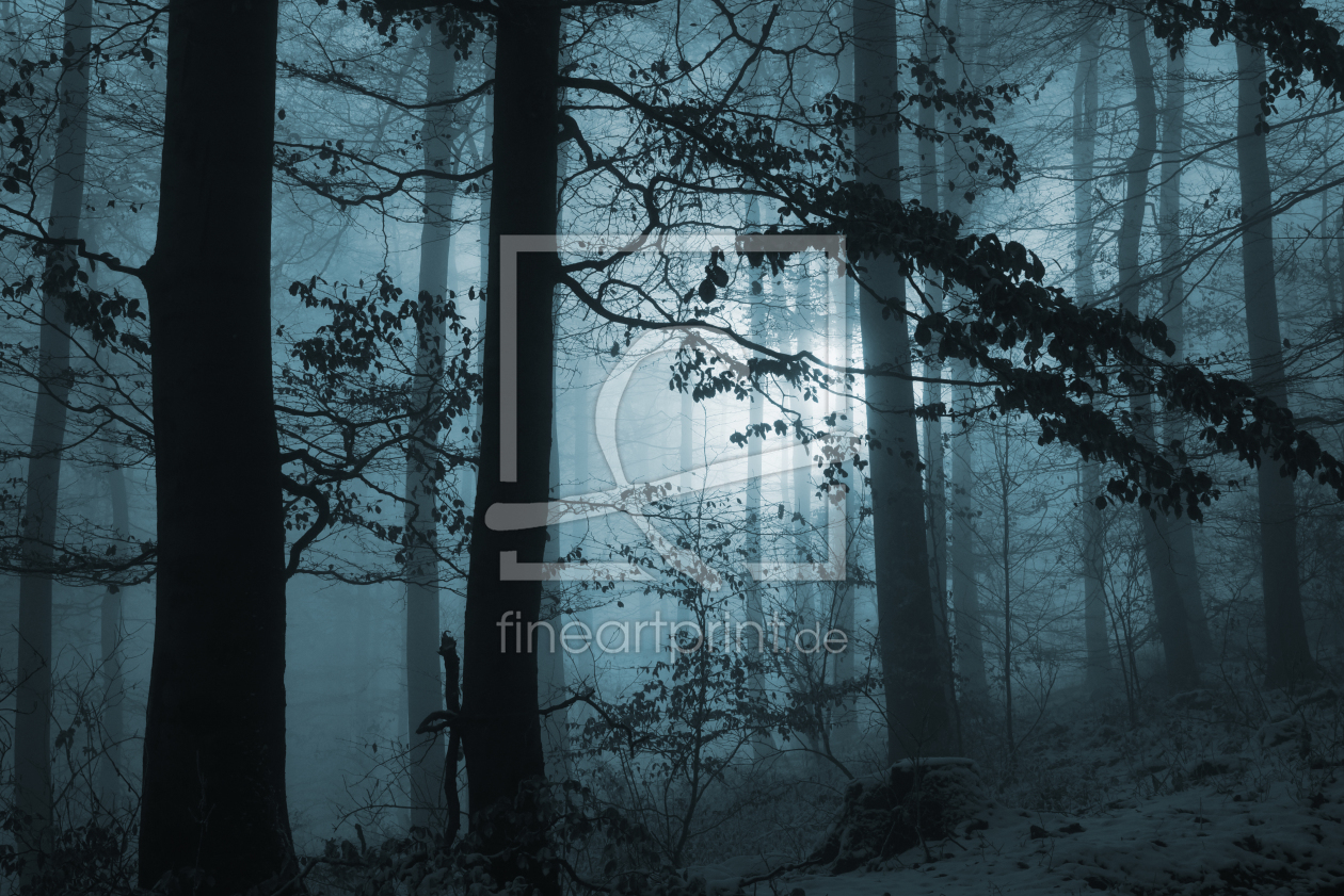 Bild-Nr.: 12027737 Novemberwald erstellt von Ralf Nemeth