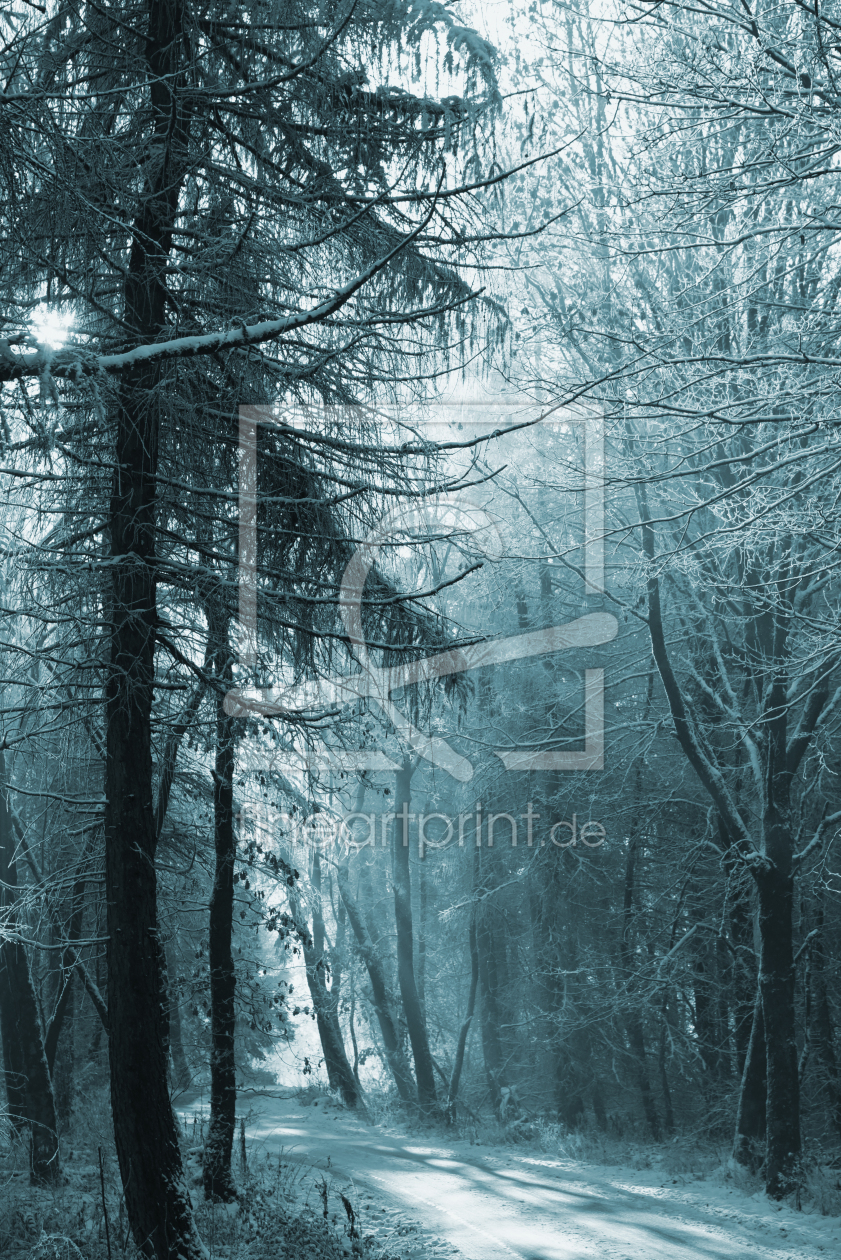 Bild-Nr.: 12027739 Novemberwald erstellt von Ralf Nemeth