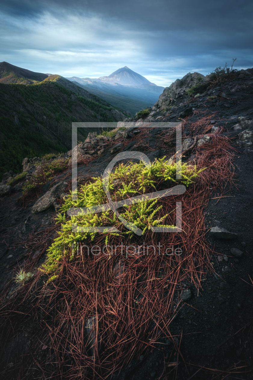 Bild-Nr.: 12028089 Teneriffa Teide am Morgen erstellt von Jean Claude Castor