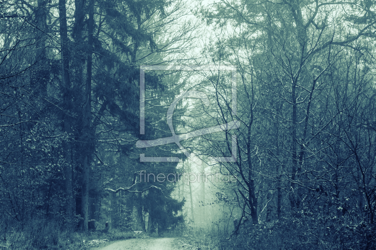 Bild-Nr.: 12031664 Wald im Licht erstellt von luxpediation