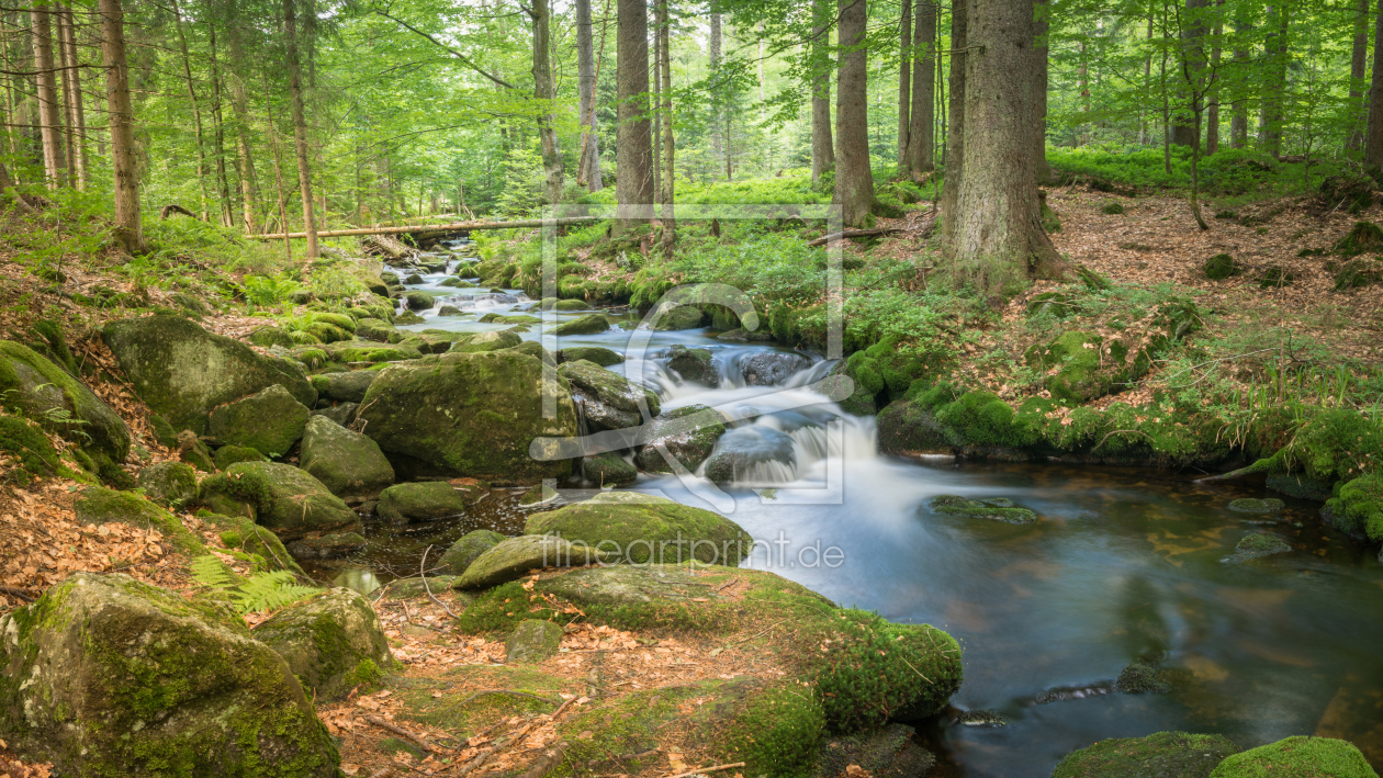 Bild-Nr.: 12031722 Wilder Wald Bach erstellt von luxpediation