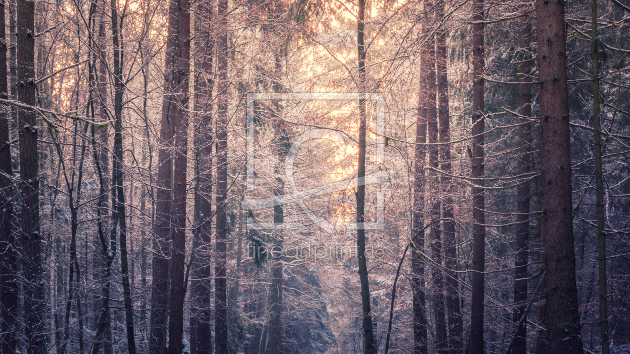 Bild-Nr.: 12033352 Winterlicher Wald - winter trees erstellt von luxpediation