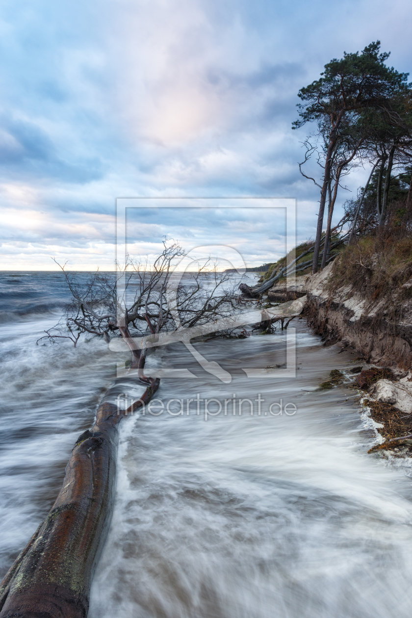 Bild-Nr.: 12033575 Sturm am Weststrand erstellt von Daniela Beyer