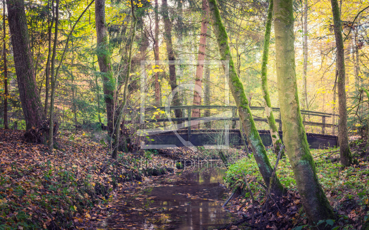 Bild-Nr.: 12033779 Brücke im Wald erstellt von luxpediation