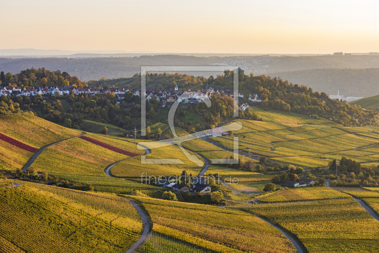 Bild-Nr.: 12034138 Weinberge bei Stuttgart-Rotenberg erstellt von dieterich