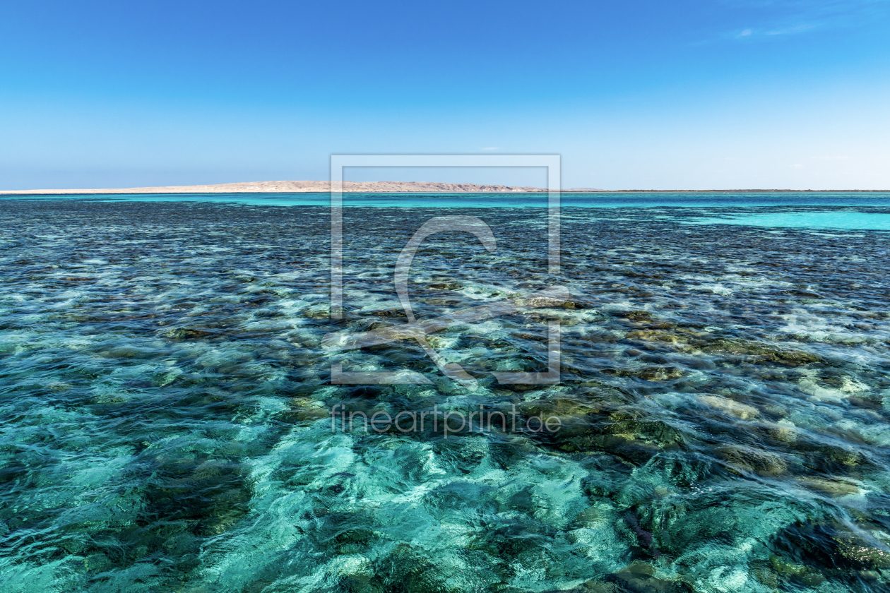 Bild-Nr.: 12034418 Korallenriff Hurghada erstellt von Kunze Kunze