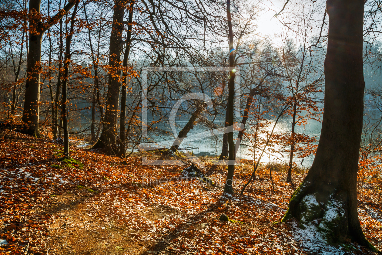 Bild-Nr.: 12041421 ice blue forest lake erstellt von Ursula Reins