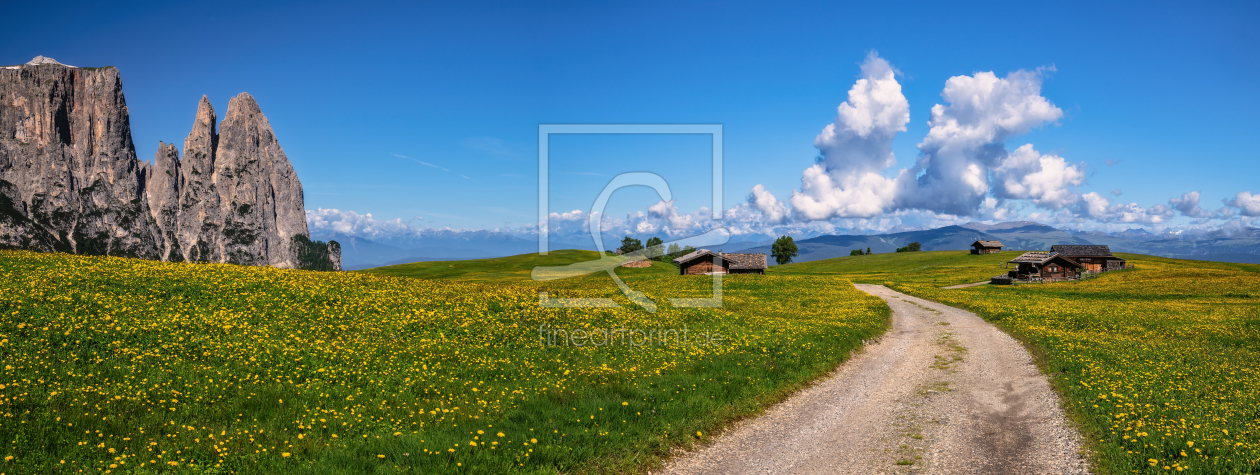 Bild-Nr.: 12043458 Frühling auf der Seiser Alm erstellt von Achim Thomae