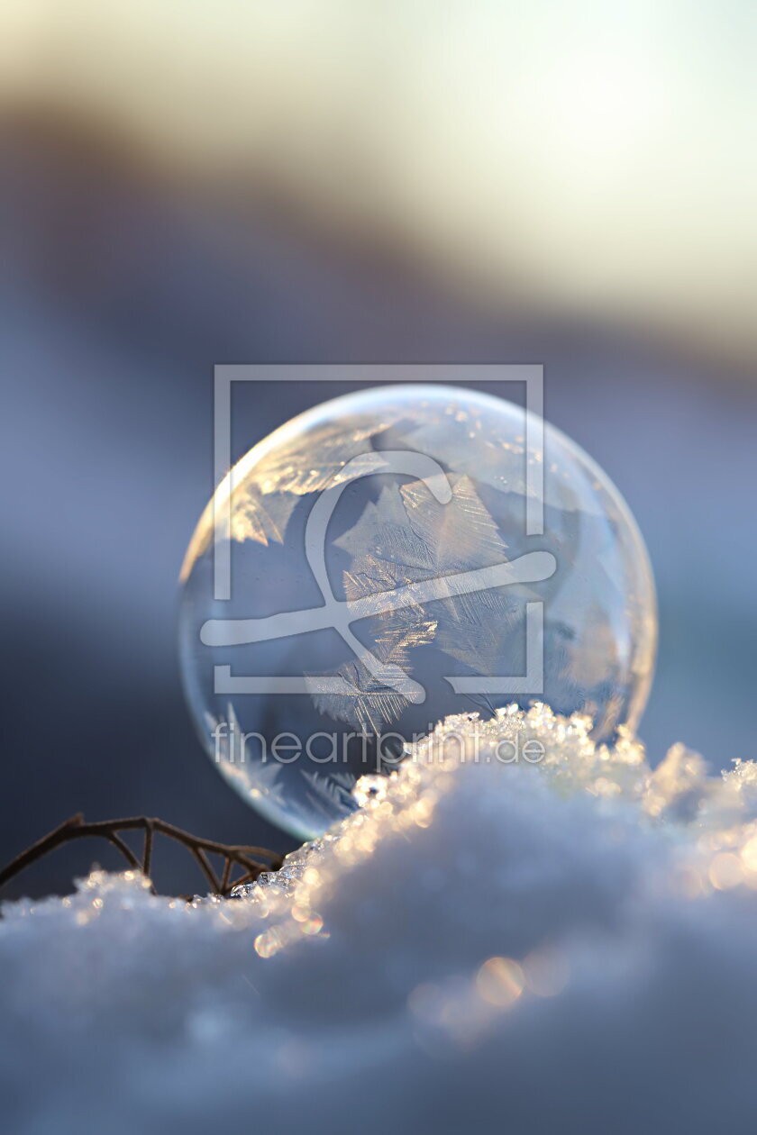 Bild-Nr.: 12044464 Frostige Seifenblase 6 erstellt von Heike Hultsch