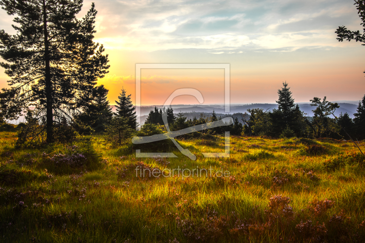 Bild-Nr.: 12044896 Schwarzwaldlandschaft bei Sonnenaufgang erstellt von KundenNr-160338