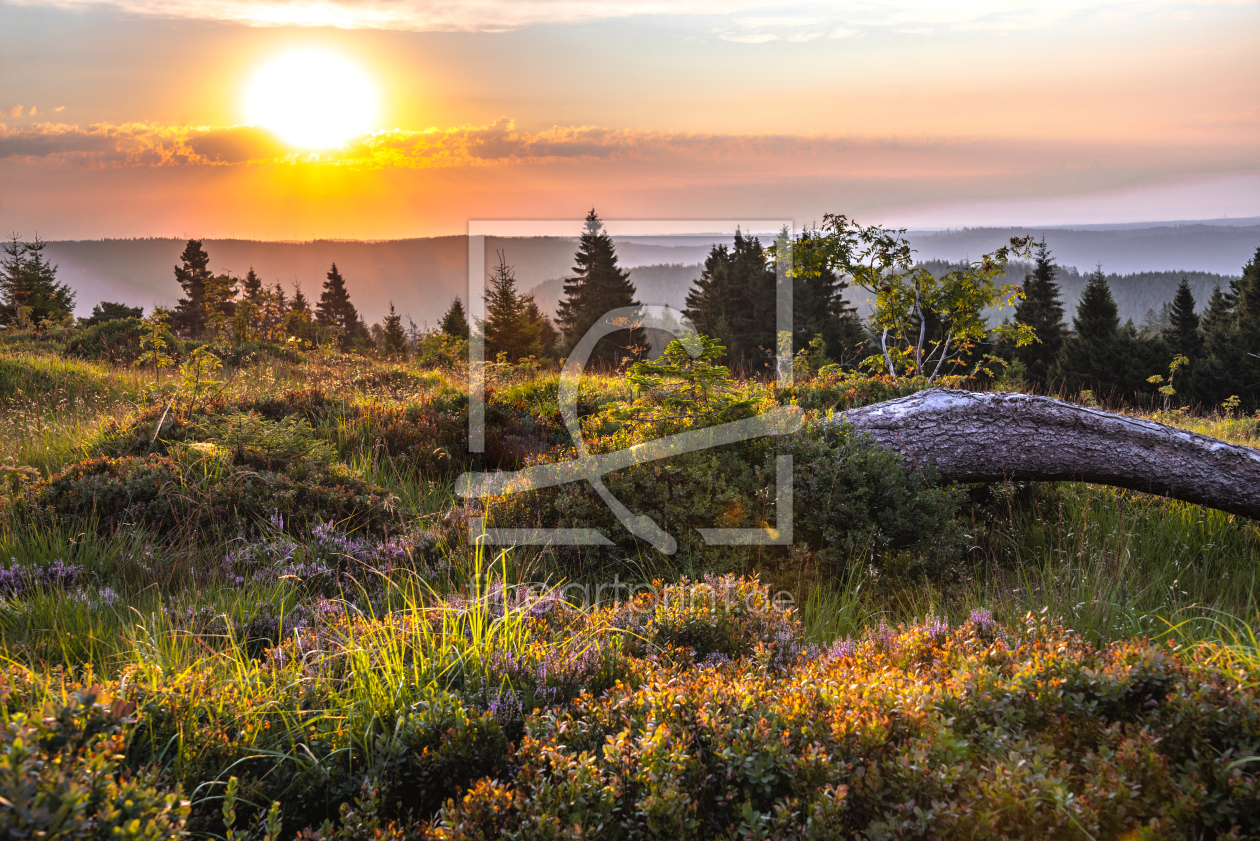 Bild-Nr.: 12044910 Morgenstimmung im Schwarzwald erstellt von KundenNr-160338