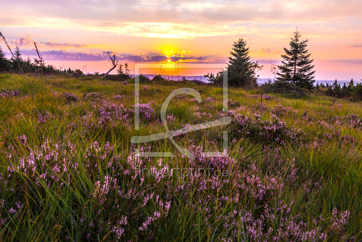 Bild-Nr.: 12045115 Heidelandschaft im Schwarzwald erstellt von KundenNr-160338