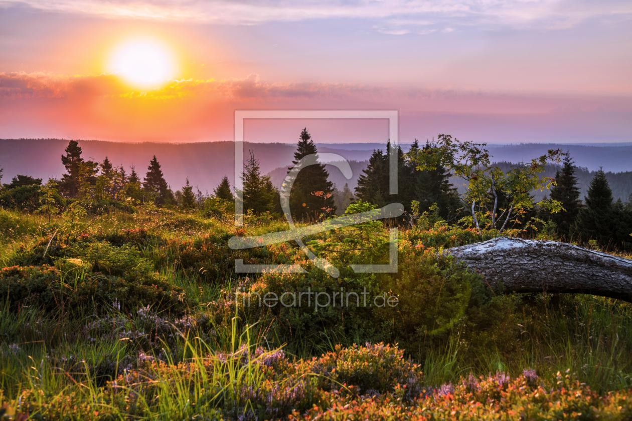 Bild-Nr.: 12045146 Panorama bei Sonnenaufgang im Schwarzwald erstellt von KundenNr-160338