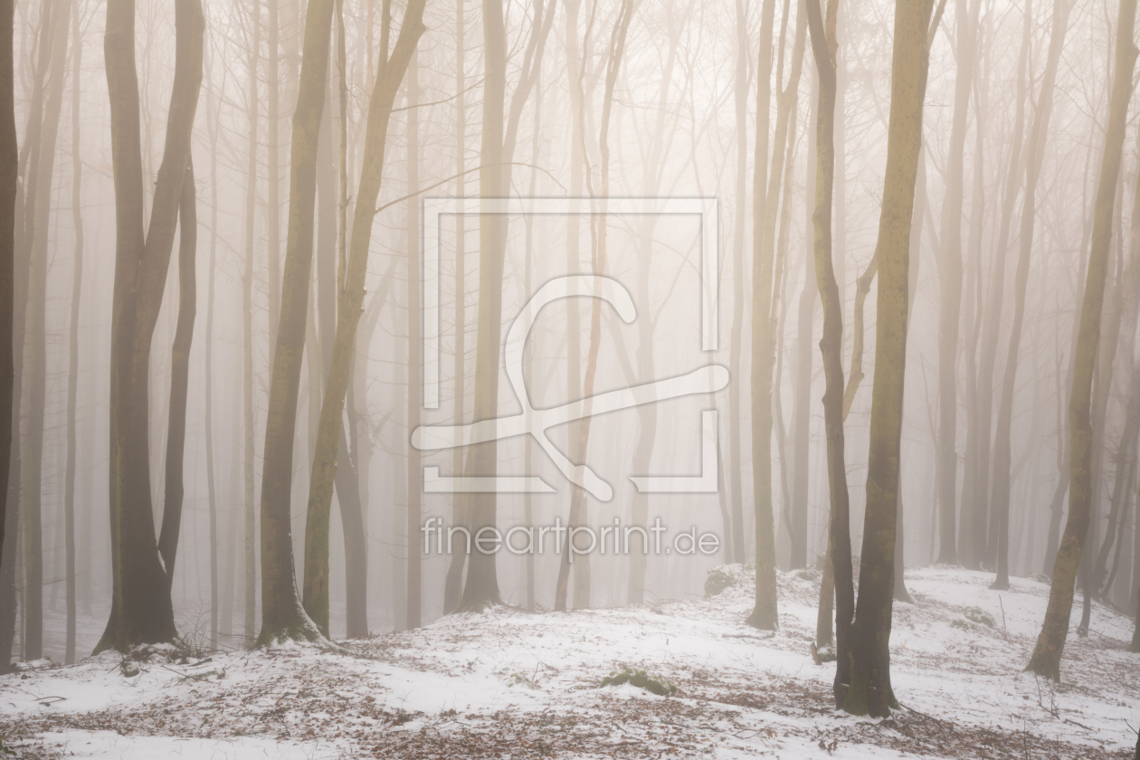 Bild-Nr.: 12045851 Winterwald im Nebel erstellt von luxpediation