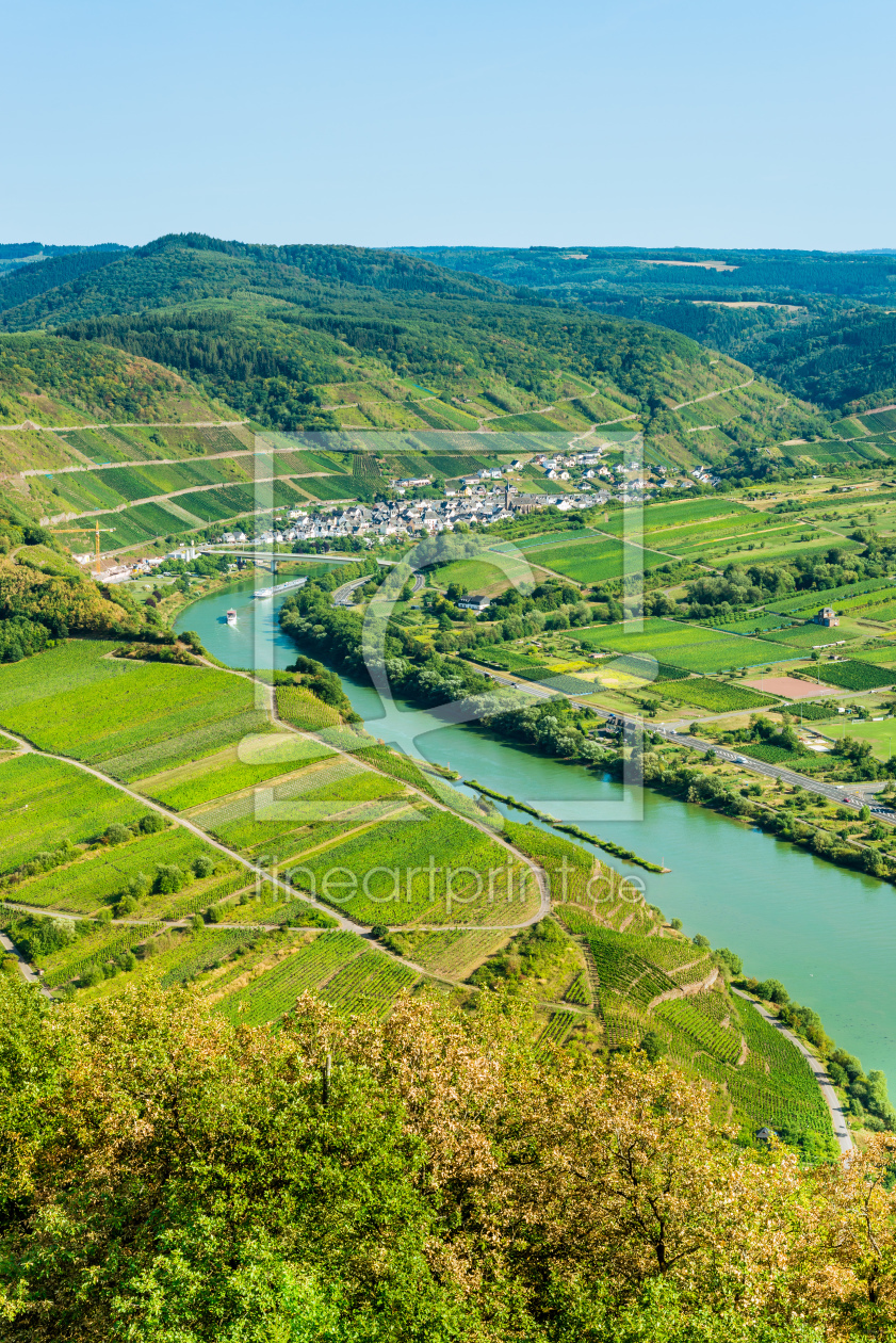 Bild-Nr.: 12051545 Mosel bei Neef 35 erstellt von Erhard Hess