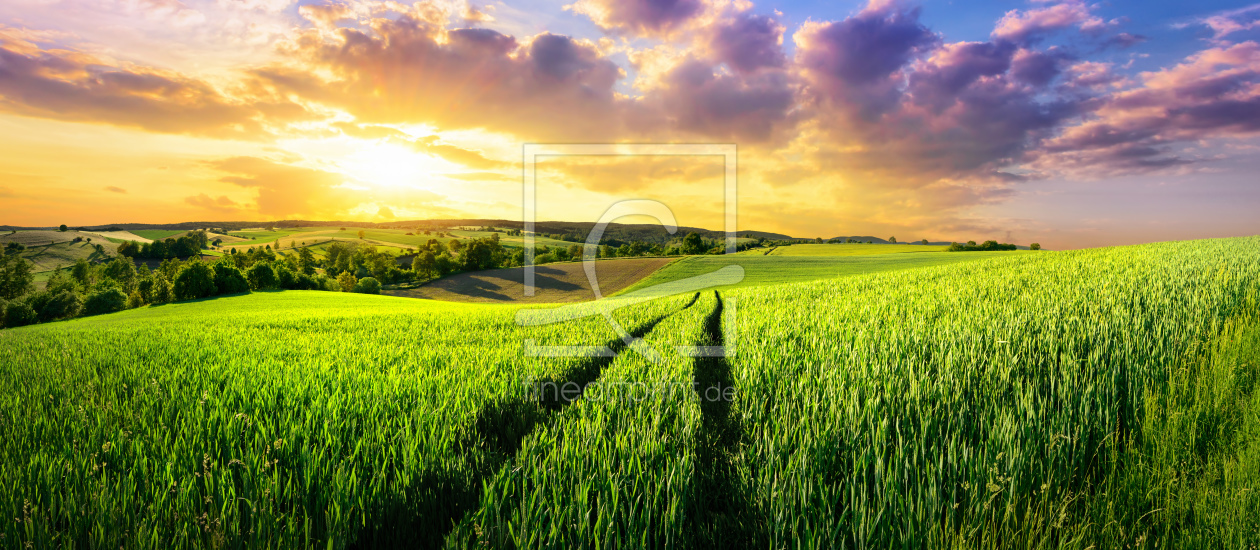 Bild-Nr.: 12051882 Vast green field at gorgeous sunset erstellt von Smileus