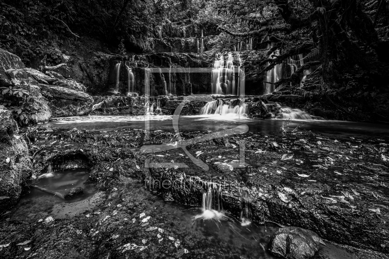 Bild-Nr.: 12052063 Purakaunui Falls erstellt von TomKli