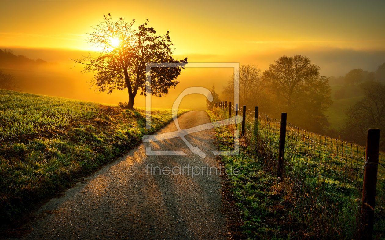 Bild-Nr.: 12053361 Idyllische Landschaft bei Sonnenaufgang erstellt von Smileus