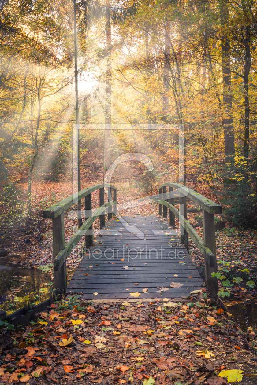 Bild-Nr.: 12053648  Sonnenstrahlen zur Brücke im Wald  erstellt von luxpediation