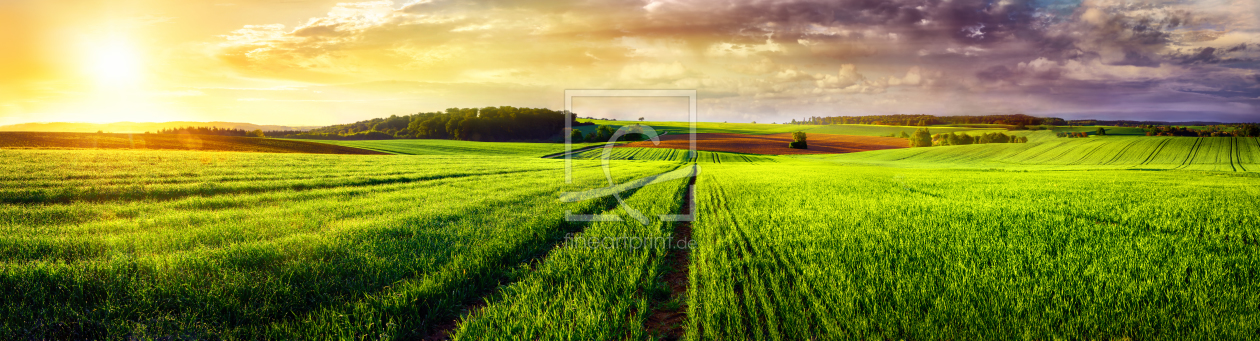 Bild-Nr.: 12054609 Rural landscape sunset panorama erstellt von Smileus