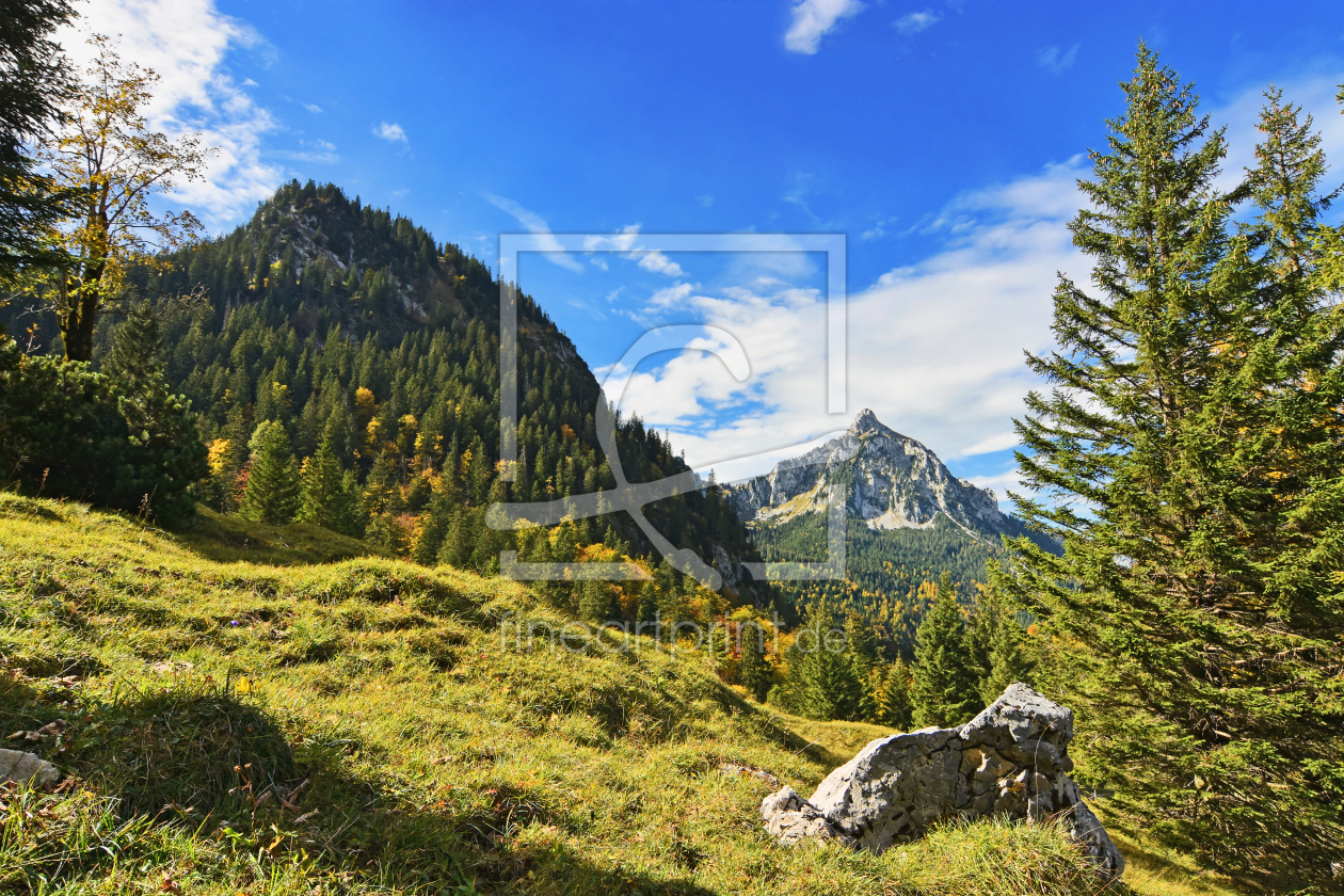 Bild-Nr.: 12054614 Herbstlicher Wald in den Bergen erstellt von Andreas Föll