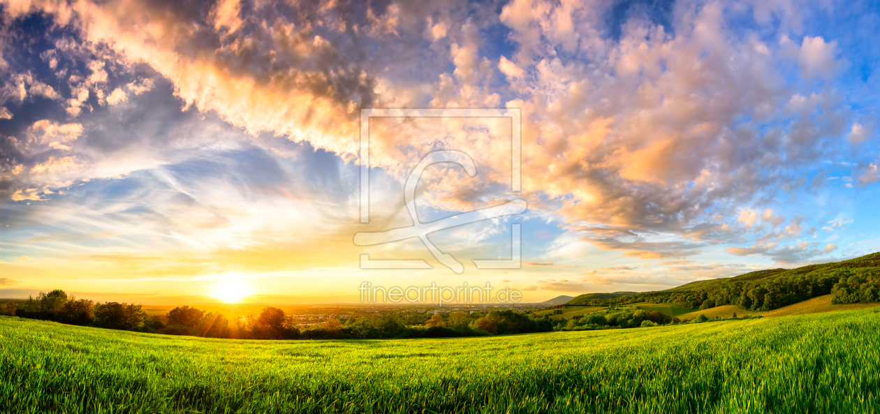 Bild-Nr.: 12057478 Panorama of a colourful sunset on a green meadow erstellt von Smileus