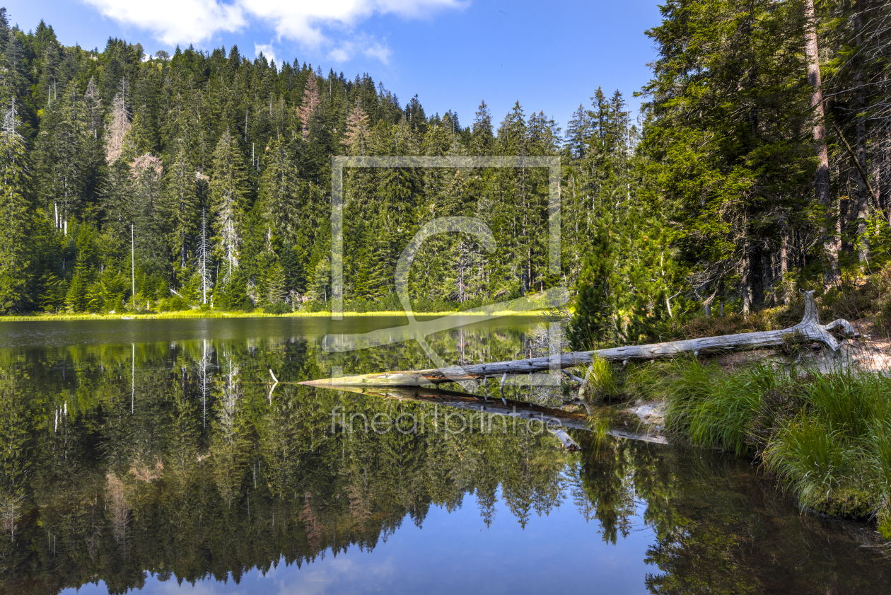 Bild-Nr.: 12058428 Der Wildsee im Nordschwarzwald erstellt von KundenNr-160338