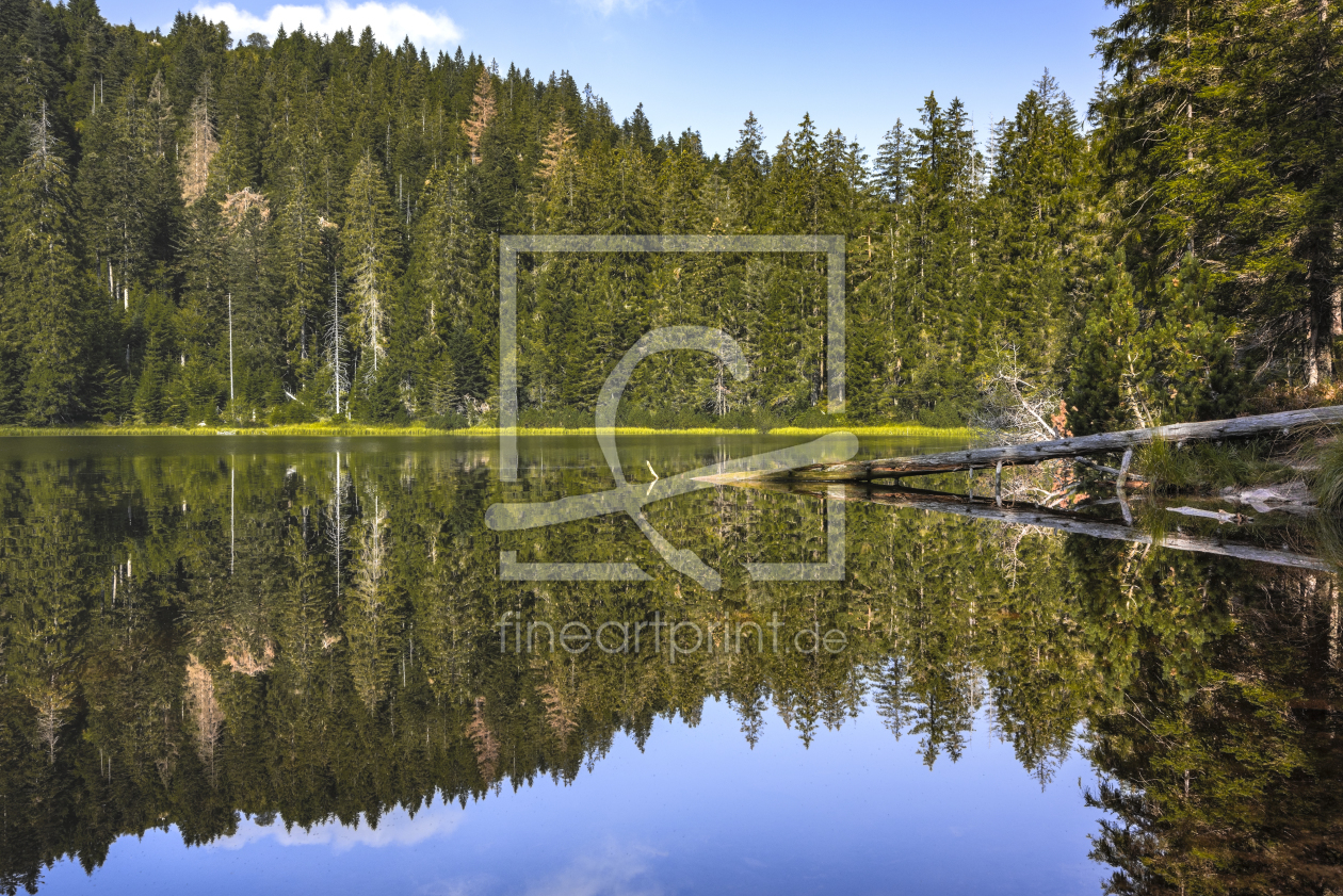 Bild-Nr.: 12058430 Schwarzwaldidylle am Wildsee erstellt von KundenNr-160338
