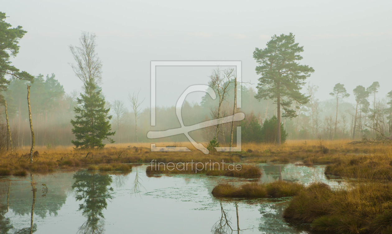 Bild-Nr.: 12059449 Moorlandschaft erstellt von Katilla