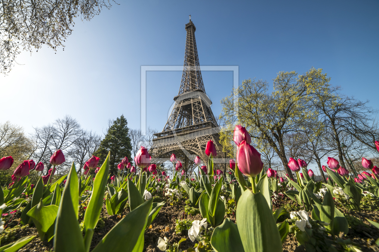 Bild-Nr.: 12062052 Frühling in Paris erstellt von reisefoto