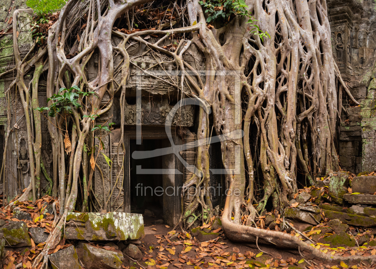 Bild-Nr.: 12063017 Ta Prohm Tempel - Kambodscha erstellt von orxy