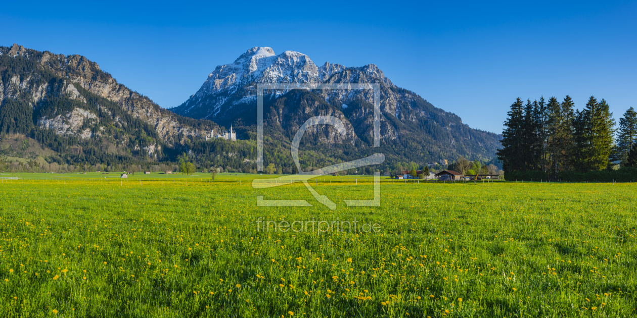 Bild-Nr.: 12063602 Neuschwanstein erstellt von Walter G. Allgöwer