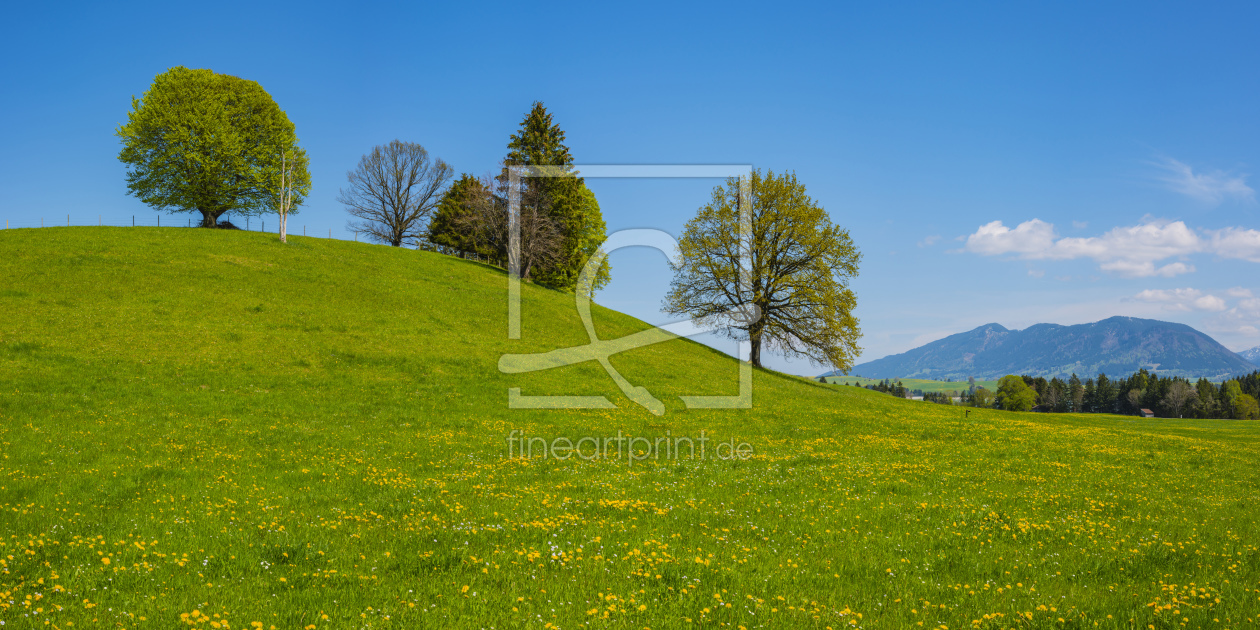 Bild-Nr.: 12063603 Frühling im Ostallgäu erstellt von Walter G. Allgöwer