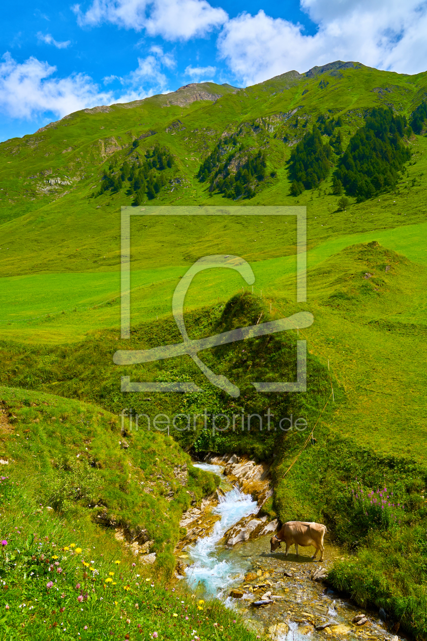 Bild-Nr.: 12063886 Fane Alm Südtirol erstellt von Reiner Würz