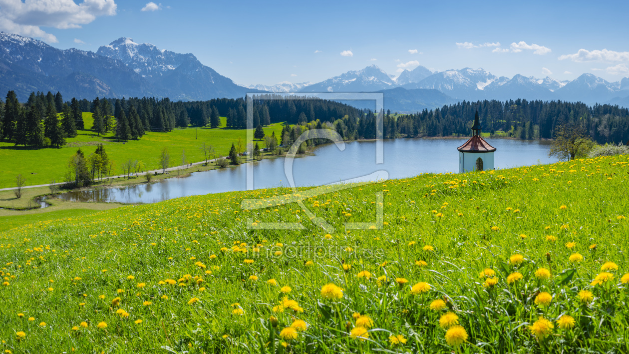 Bild-Nr.: 12063910 Frühling im Ostallgäu erstellt von Walter G. Allgöwer