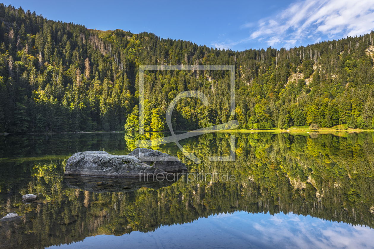 Bild-Nr.: 12066216 Feldbergsee - Schwarzwald erstellt von KundenNr-160338