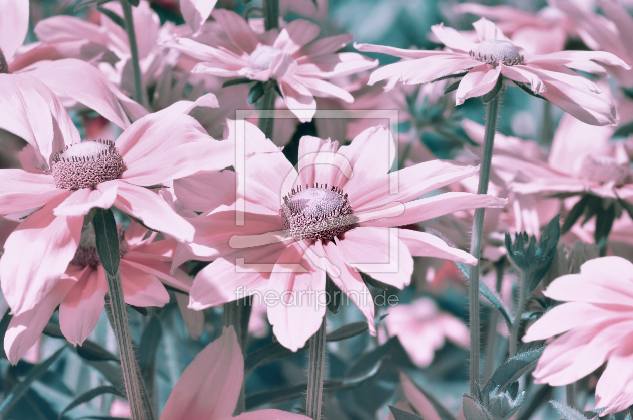 Bild-Nr.: 12068665 Pink Flowers erstellt von Atteloi