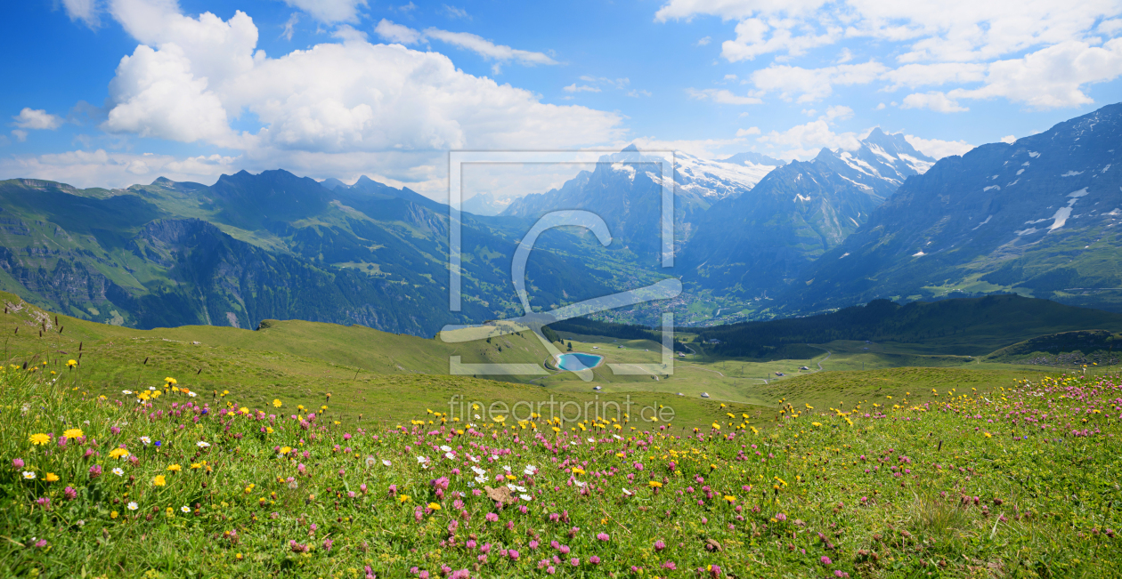 Bild-Nr.: 12069565 Schweizer Blumenwiese mit Blick auf Grindelwald erstellt von SusaZoom