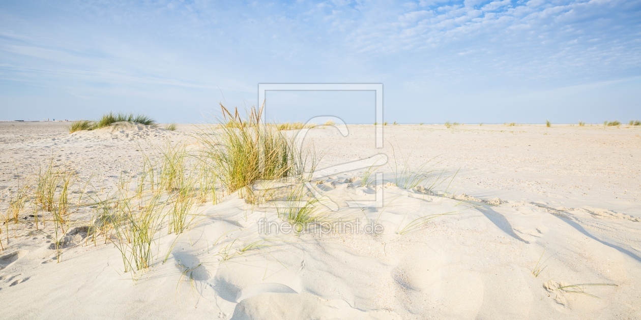 Bild-Nr.: 12075238 Spuren im Sand       ------ erstellt von Ursula Reins