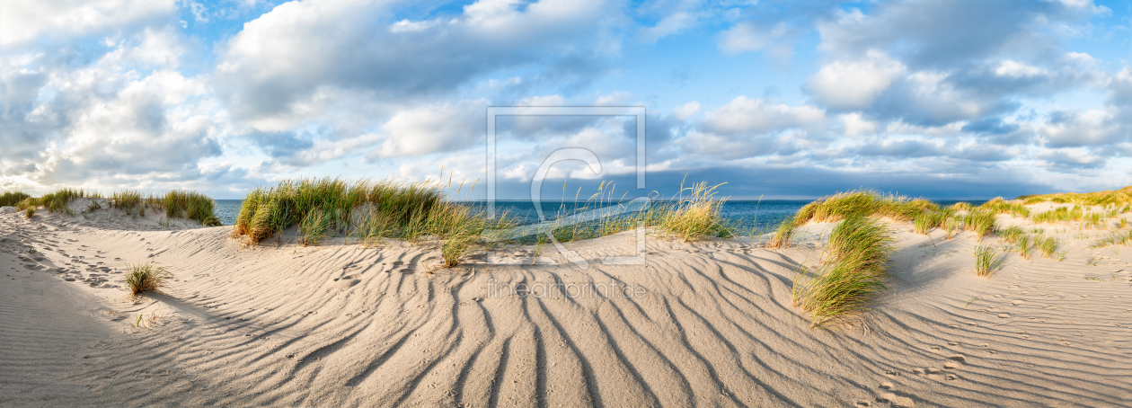 Bild-Nr.: 12076388 Wanderdüne mit Strandhafer auf Sylt erstellt von eyetronic