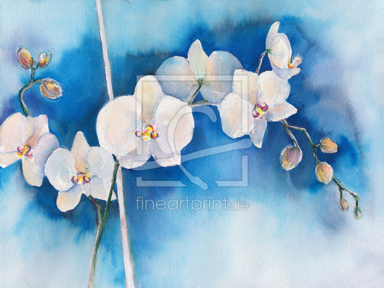 Bild-Nr.: 12082021 Orchideen in Weiß erstellt von JitkaKrause